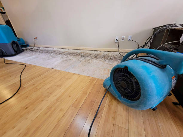 Professional Water Damage Repair technician working in Ballston Spa, NY